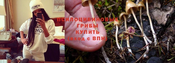 СК Алексеевка