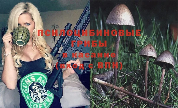 ПСИЛОЦИБИНОВЫЕ ГРИБЫ Елизово