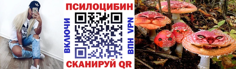 Псилоцибиновые грибы мицелий darknet состав Жиздра